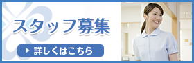 スタッフ募集