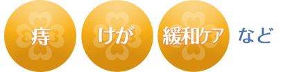 痔 けが 緩和ケア など